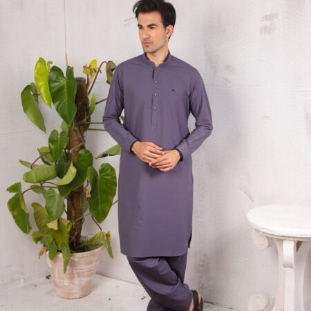 Business Class purple color Wash & Wear